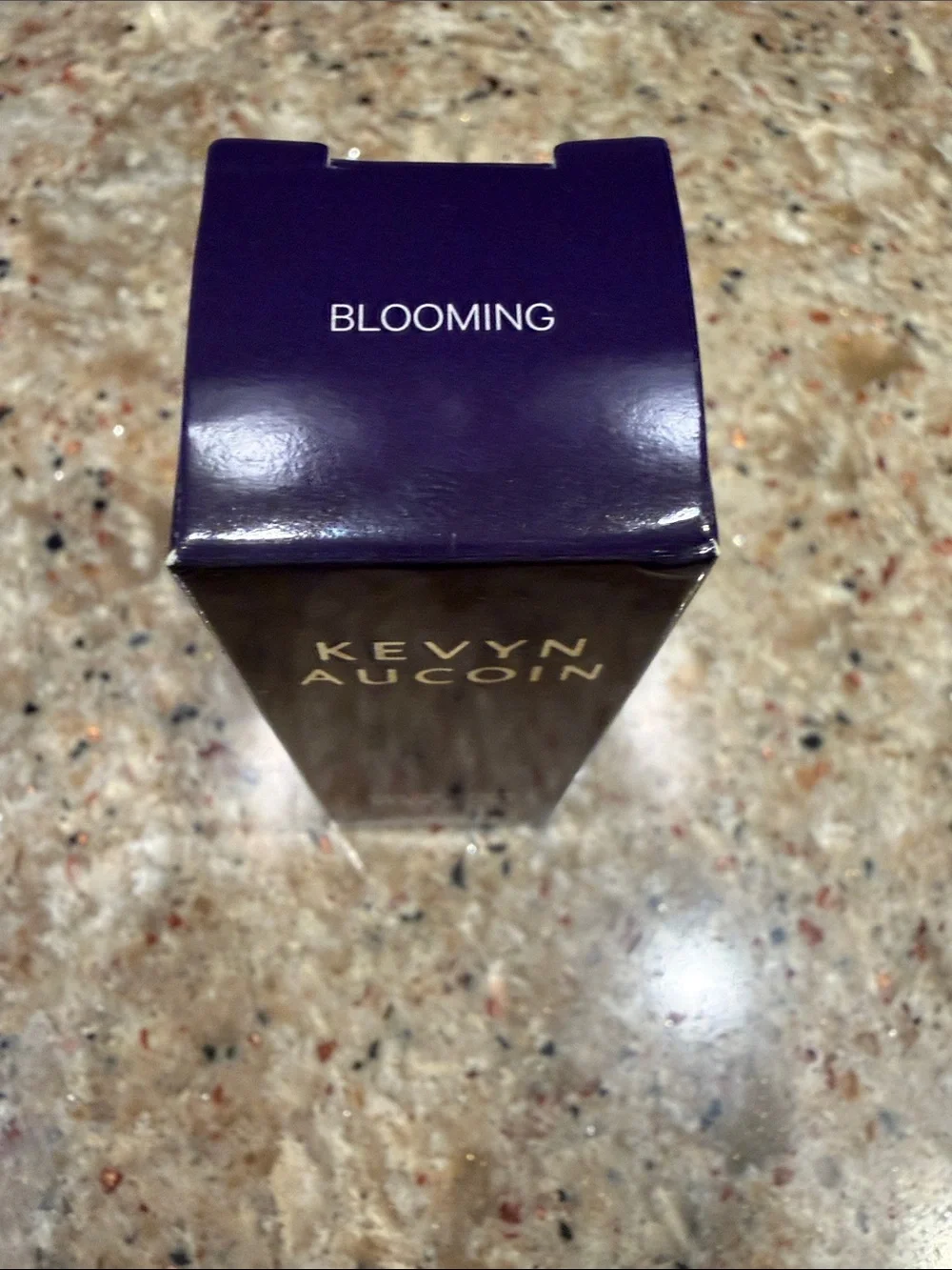 NEW Kevyn Aucoin The Color Stick
